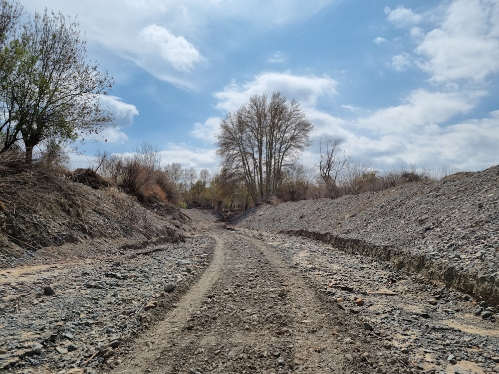 a dirt road with trees in the distance