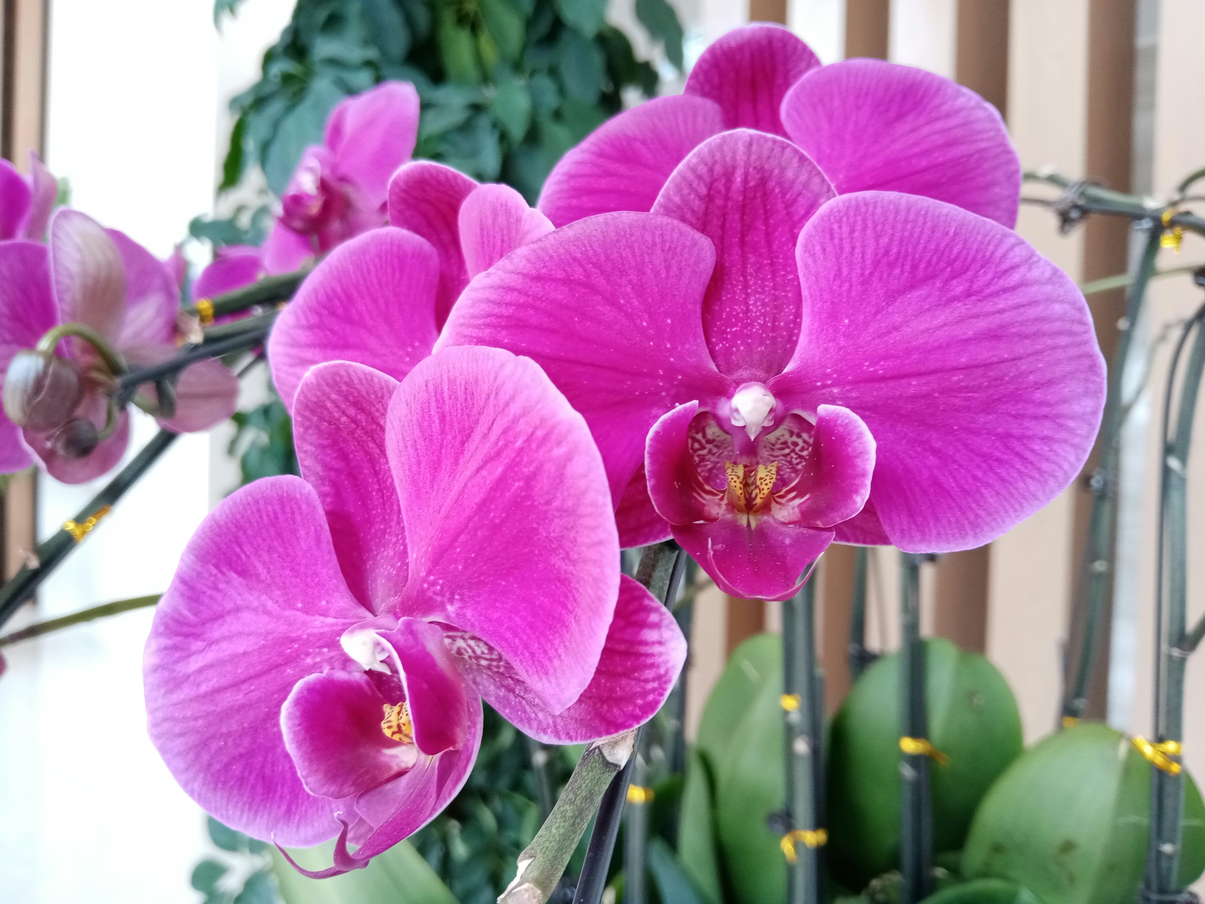 Photo by sketchpad20230331