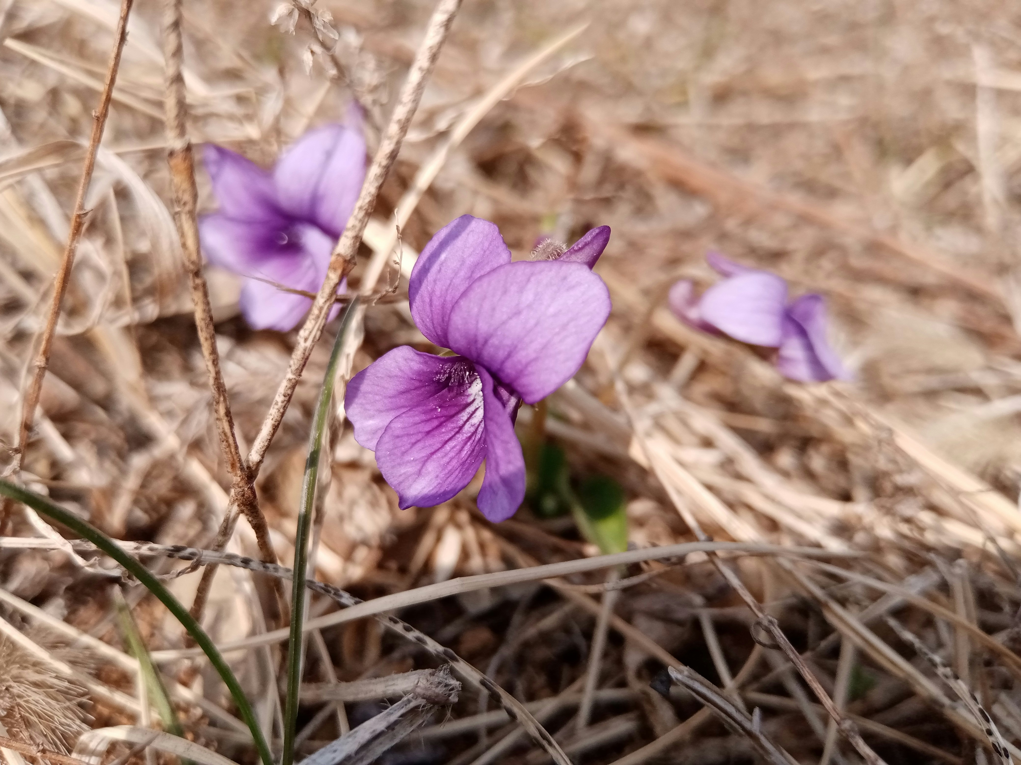 Photo by sketchpad20230331