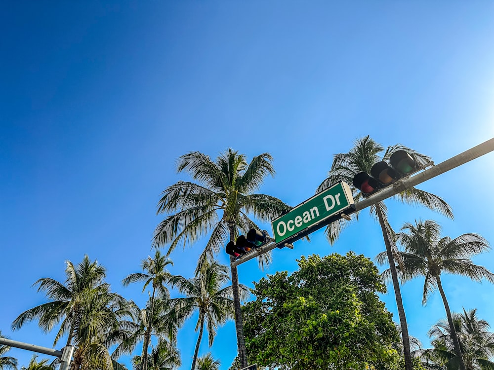 a street sign on a pole with palm trees in the background