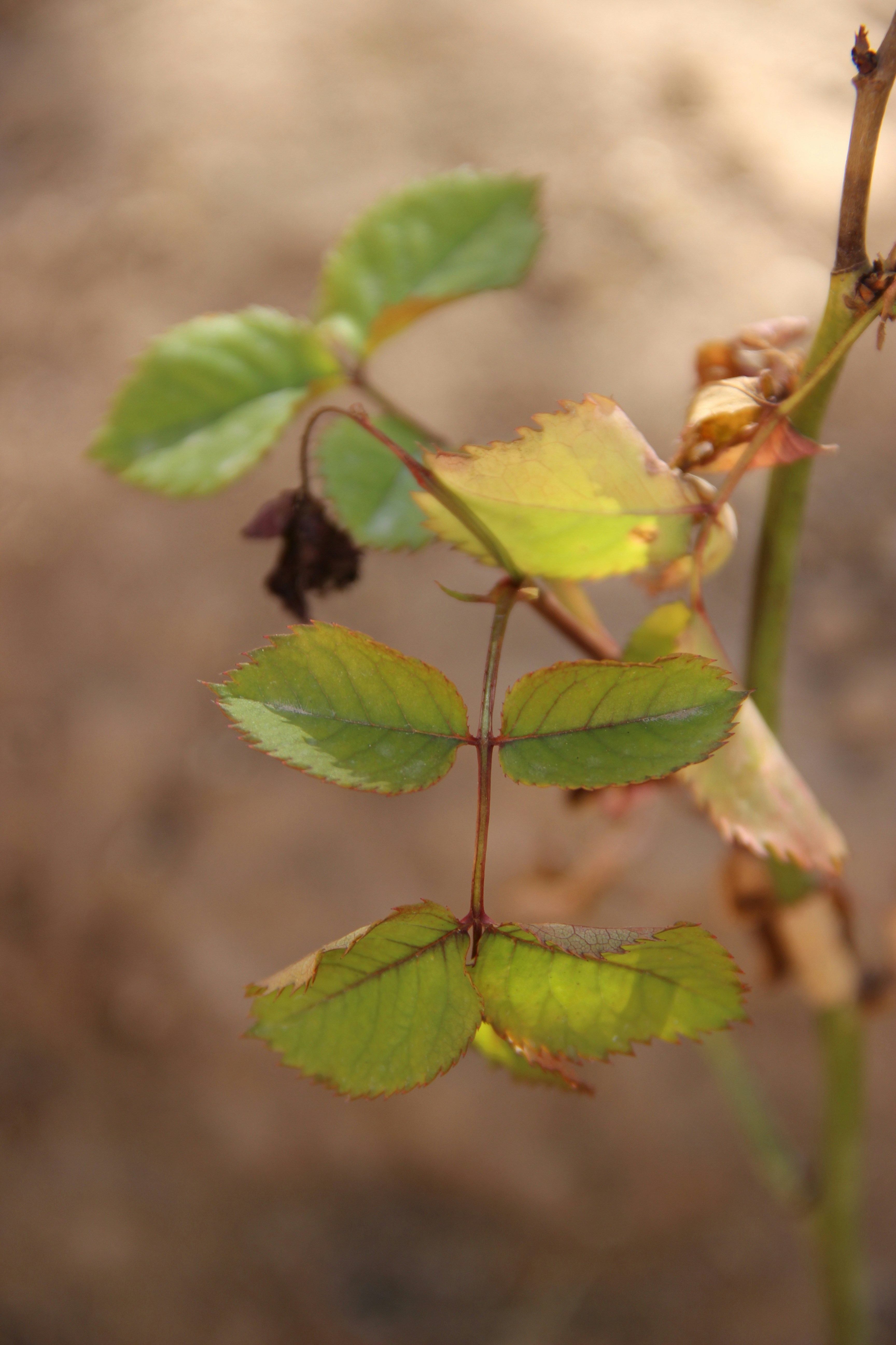 Photo by paris_nature_photo