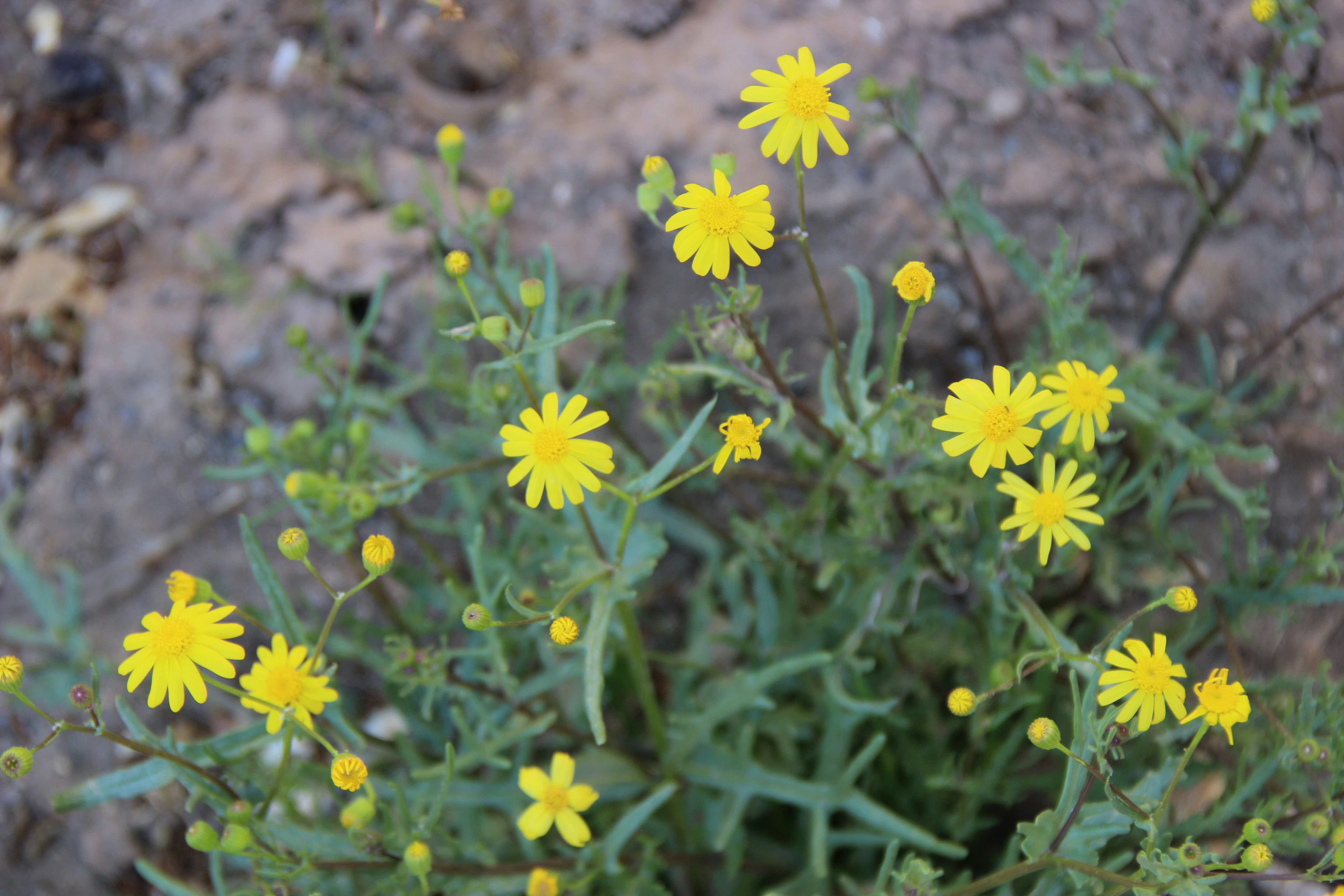 Photo by paris_nature_photo