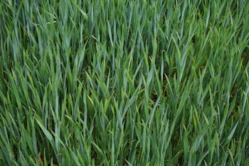 Photo 1680250588868 41d20a5597ba?q=85&w=350&h=300&fit=crop