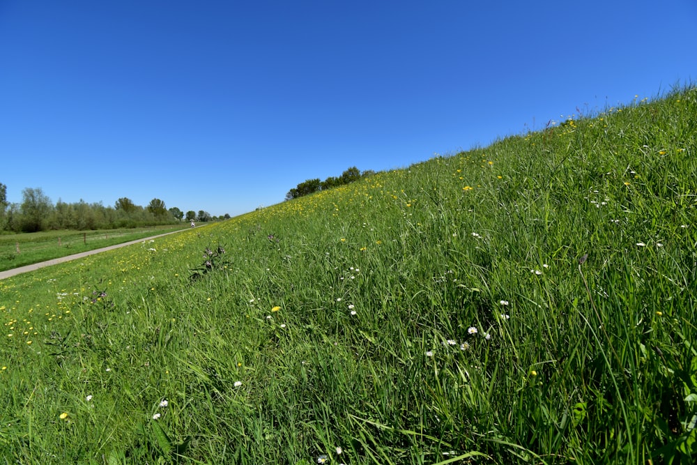 una collina erbosa con una strada che la attraversa