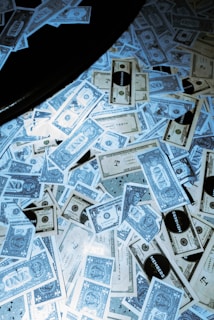 a bunch of money that is laying on the ground