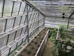 A modern greenhouse structure with metal and glass elements housing rows of small plants. The space is well-organized with clearly defined planting areas, surrounded by greenery and some hanging plants from the roof. The overall atmosphere is serene and slightly industrial, with natural light filtering through the semi-transparent roof panels.