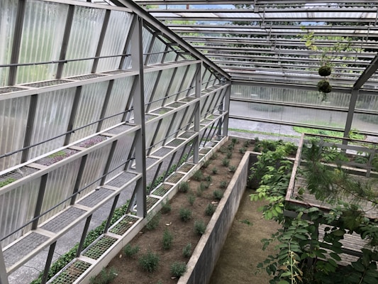 A modern greenhouse structure with metal and glass elements housing rows of small plants. The space is well-organized with clearly defined planting areas, surrounded by greenery and some hanging plants from the roof. The overall atmosphere is serene and slightly industrial, with natural light filtering through the semi-transparent roof panels.
