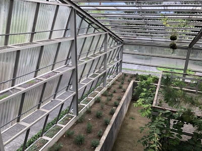 A modern greenhouse structure with metal and glass elements housing rows of small plants. The space is well-organized with clearly defined planting areas, surrounded by greenery and some hanging plants from the roof. The overall atmosphere is serene and slightly industrial, with natural light filtering through the semi-transparent roof panels.