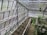 A modern greenhouse structure with metal and glass elements housing rows of small plants. The space is well-organized with clearly defined planting areas, surrounded by greenery and some hanging plants from the roof. The overall atmosphere is serene and slightly industrial, with natural light filtering through the semi-transparent roof panels.