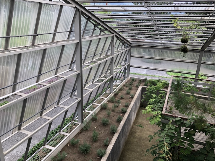 A modern greenhouse structure with metal and glass elements housing rows of small plants. The space is well-organized with clearly defined planting areas, surrounded by greenery and some hanging plants from the roof. The overall atmosphere is serene and slightly industrial, with natural light filtering through the semi-transparent roof panels.