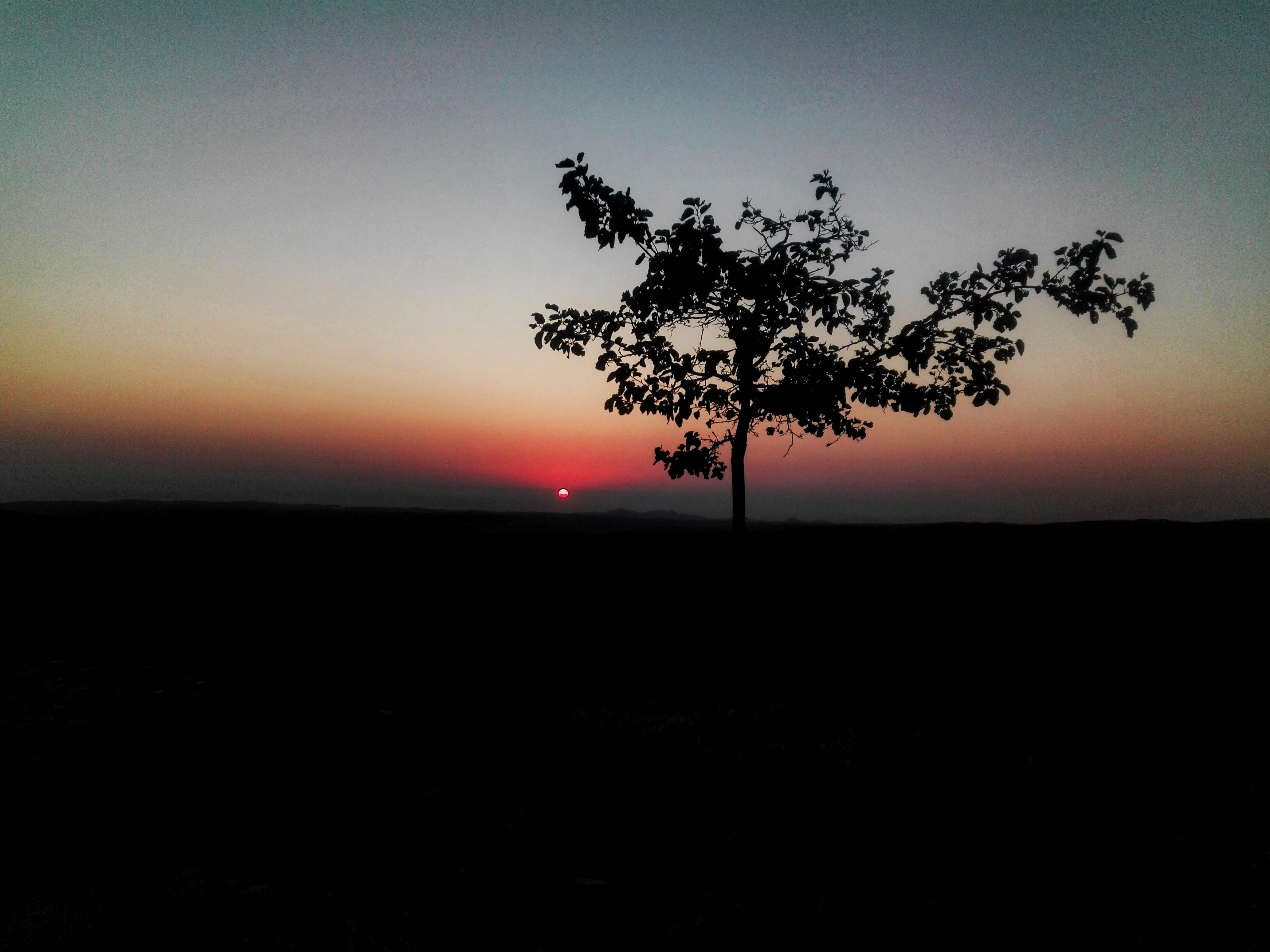 Photo by heydarnejad