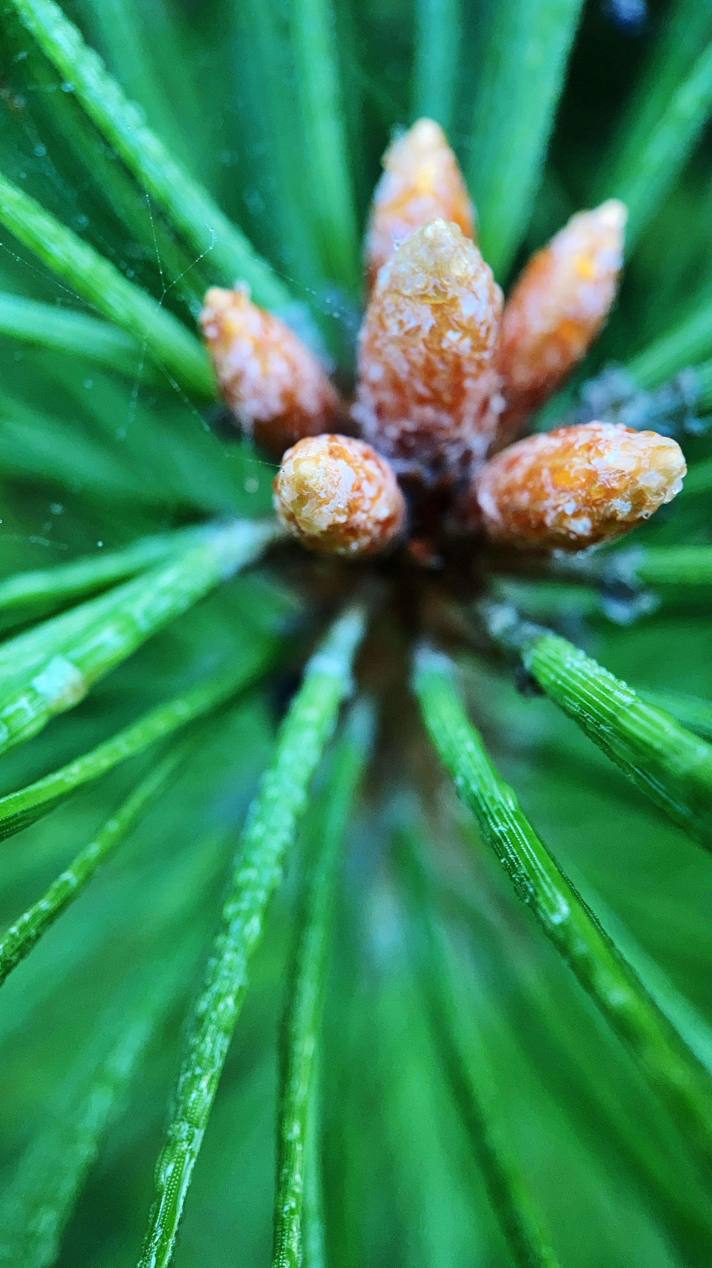 Photo by neringa_grice