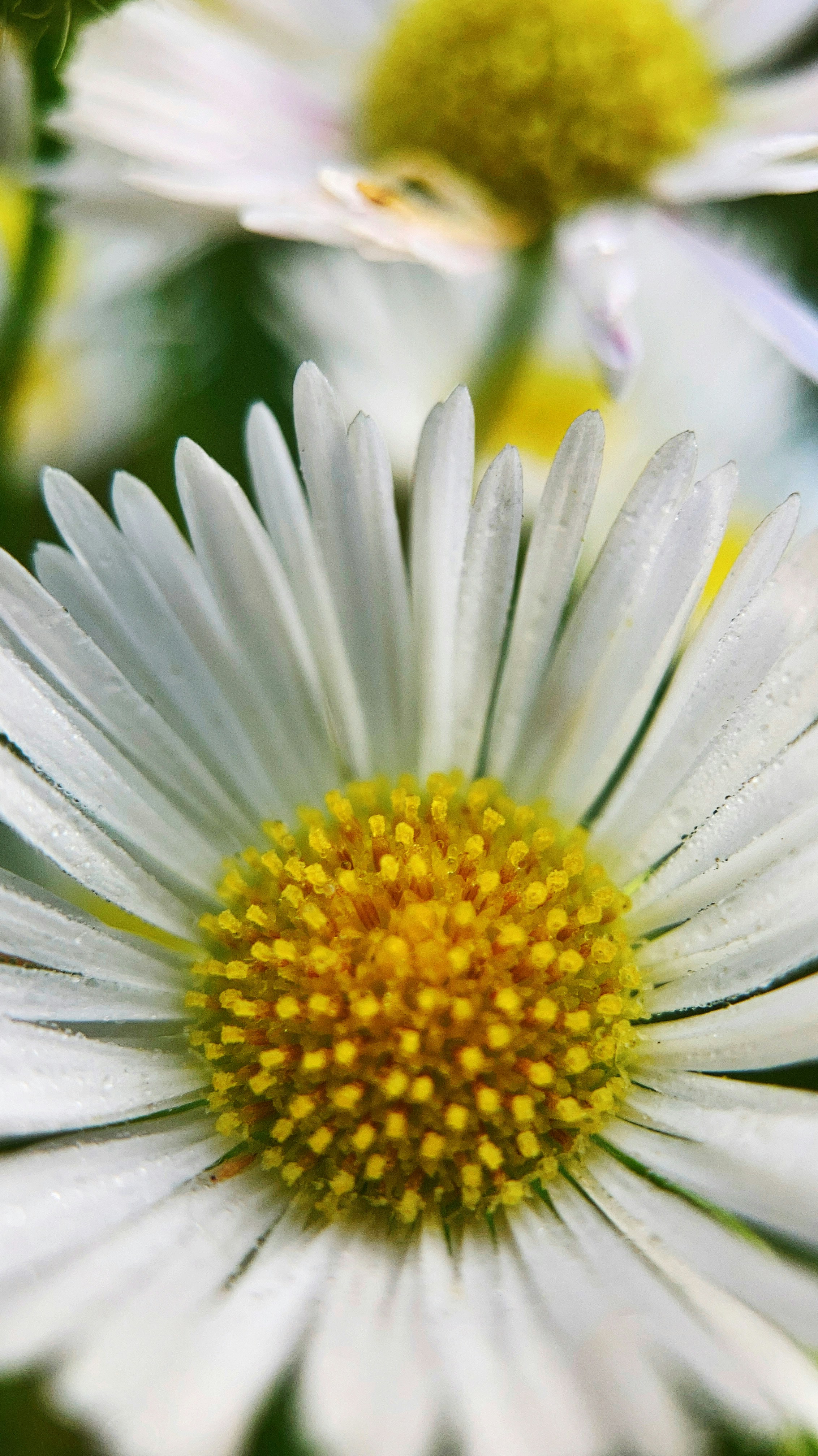 Photo by neringa_grice