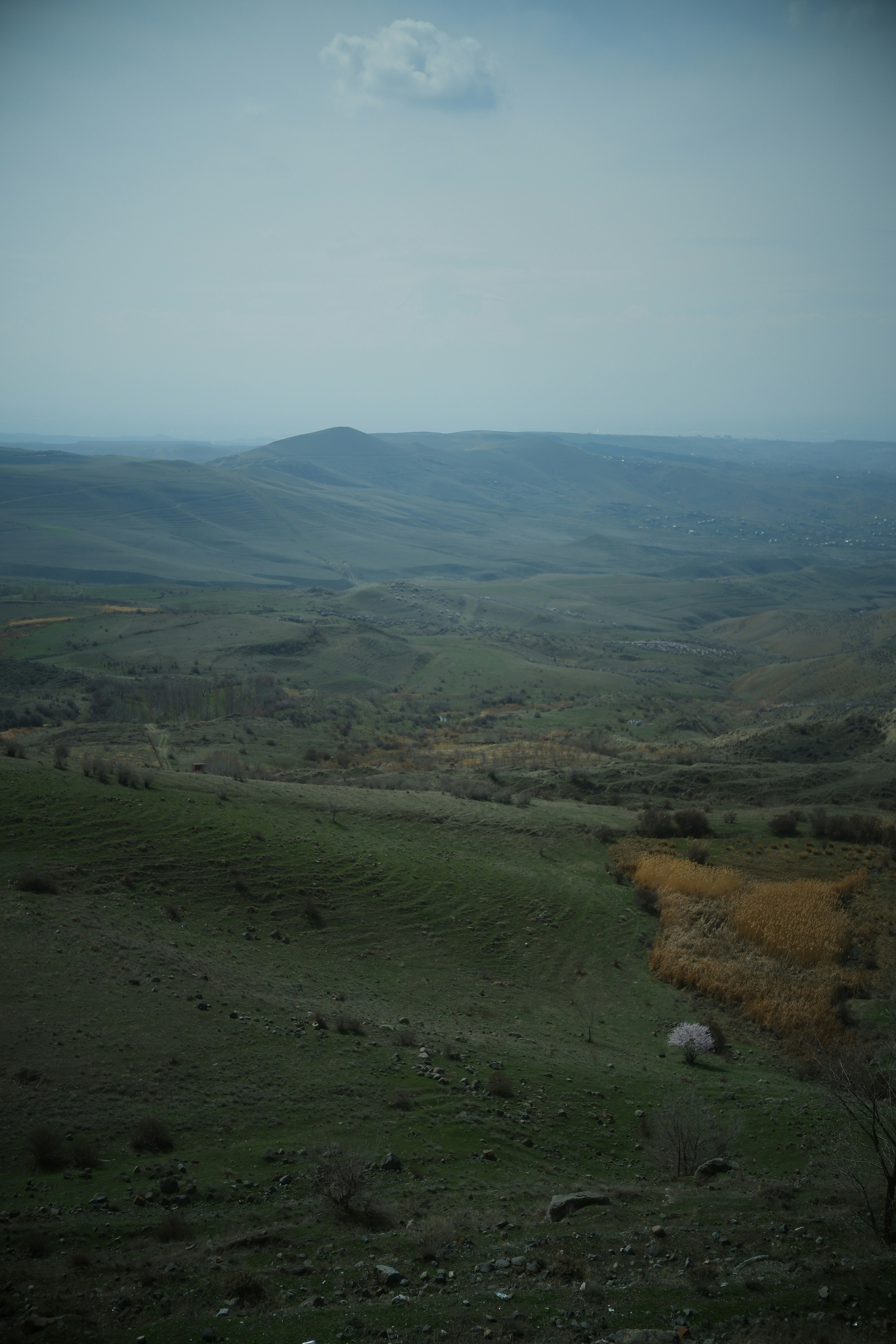 Photo by danielamuntyan