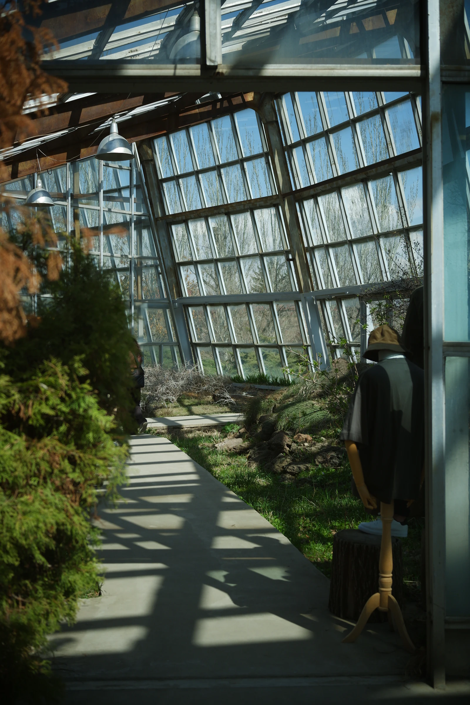 Bright glasshouse orangery interior with a planted path and climbing greenery