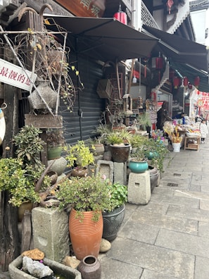 A street market scene featuring a variety of potted plants and traditional stone pots arranged along the sidewalk. There are large umbrellas providing shade, and several oriental lanterns adding a cultural touch. Various market goods are displayed in the background, with a person browsing the items.