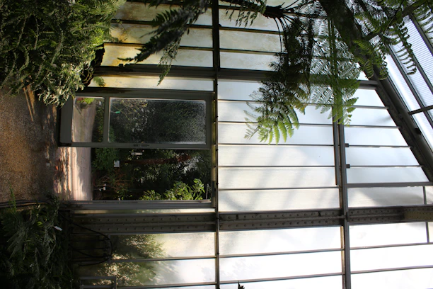A modern, spacious greenhouse filled with thriving plants under natural sunlight.