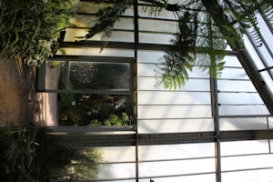 Greenhouse Gravel