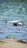 A white drone is captured in mid-flight above a water body, with its camera facing forward and propellers in motion. The background is blurred, showing a mix of blue water and a hint of green vegetation along the shore.