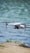 A white drone is captured in mid-flight above a water body, with its camera facing forward and propellers in motion. The background is blurred, showing a mix of blue water and a hint of green vegetation along the shore.