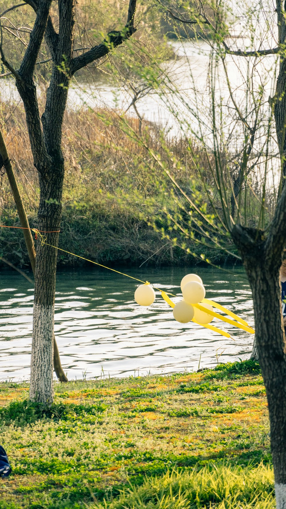 a man is flying a kite in the park