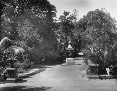 A path in a lush garden setting flanked by large planters with tall plants. The surrounding area is dense with trees and greenery. In the center of the path, there stands a sculpture on a pedestal, adding an element of art to the natural scenery.
