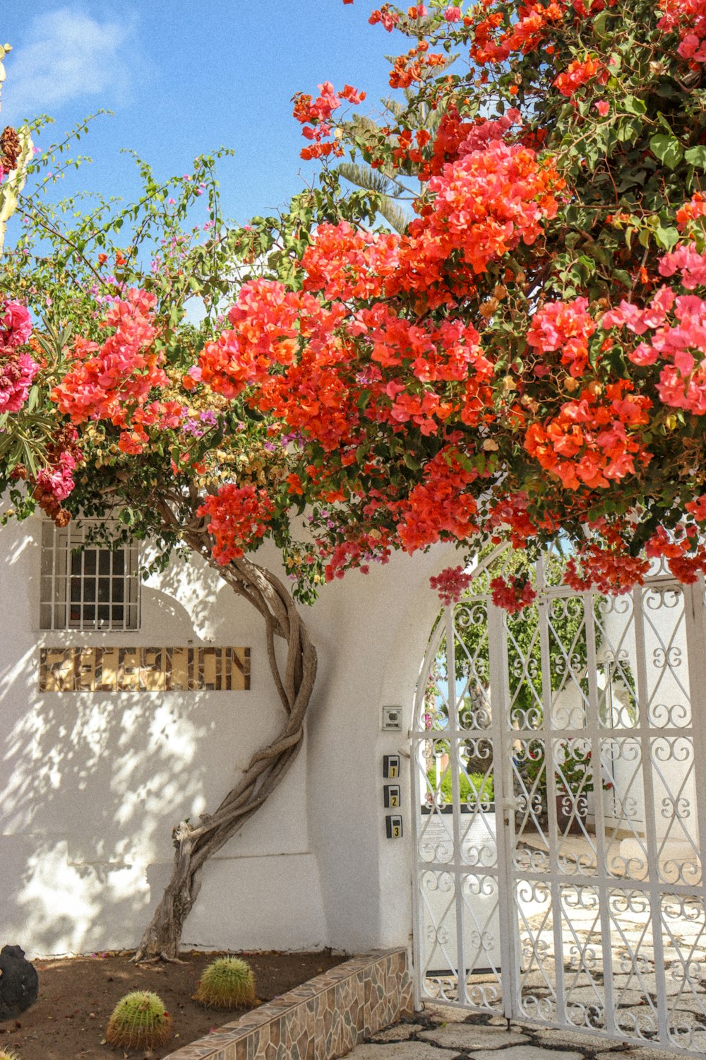 Ein weißes Haus mit roten Blumen darauf