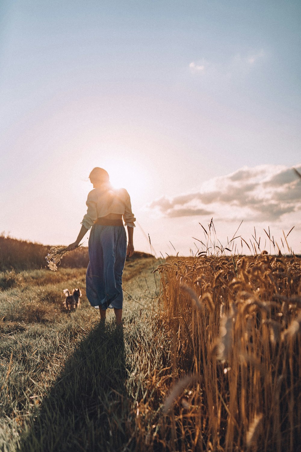 a woman walking a dog through a wheat field