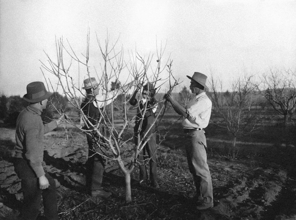 Un grupo de hombres parados uno al lado del otro cerca de un árbol