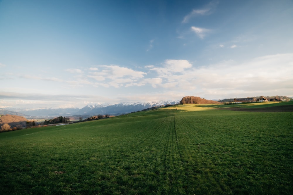 a grassy field with mountains in the background