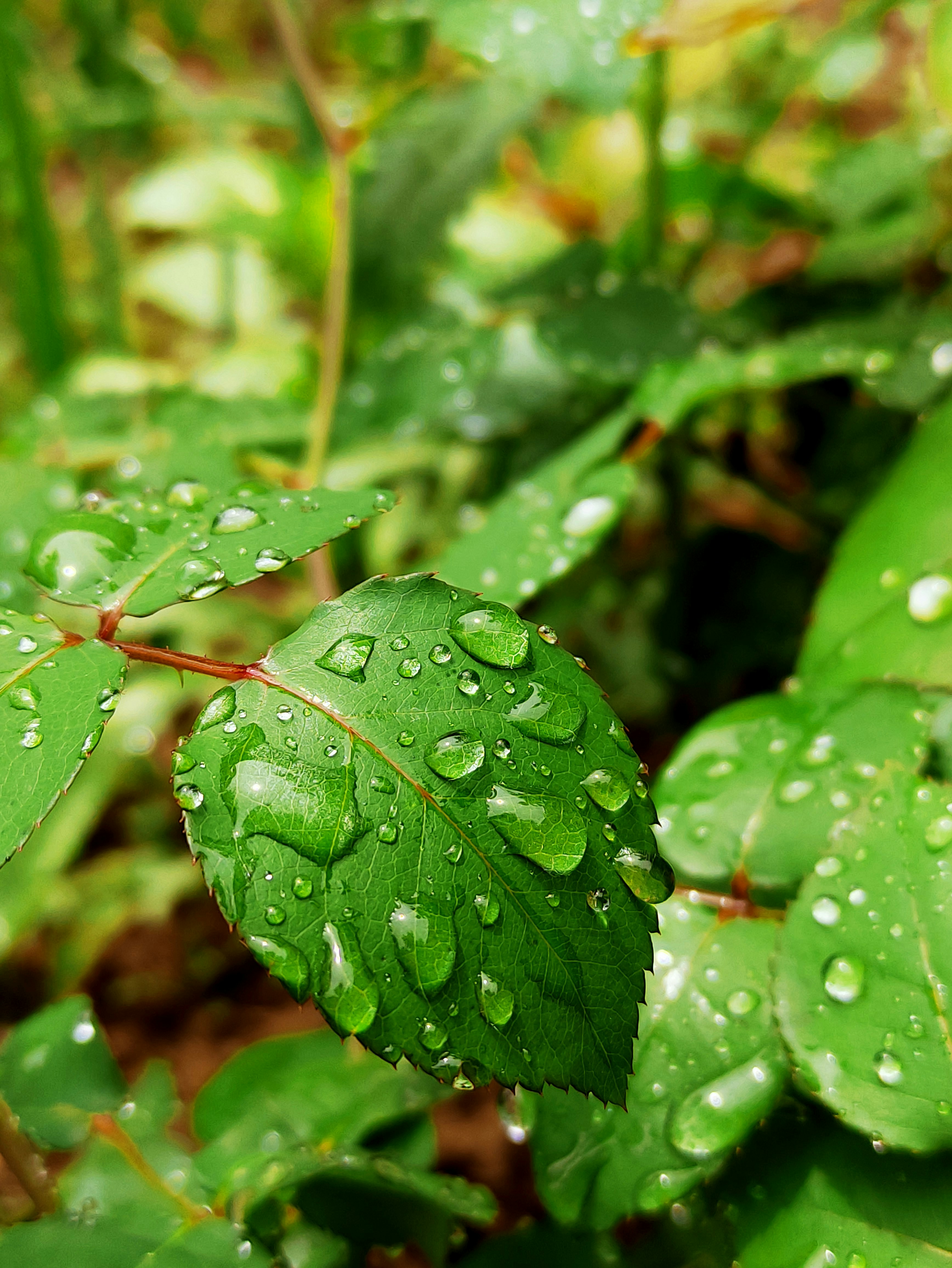 Photo by mkforfuturelife