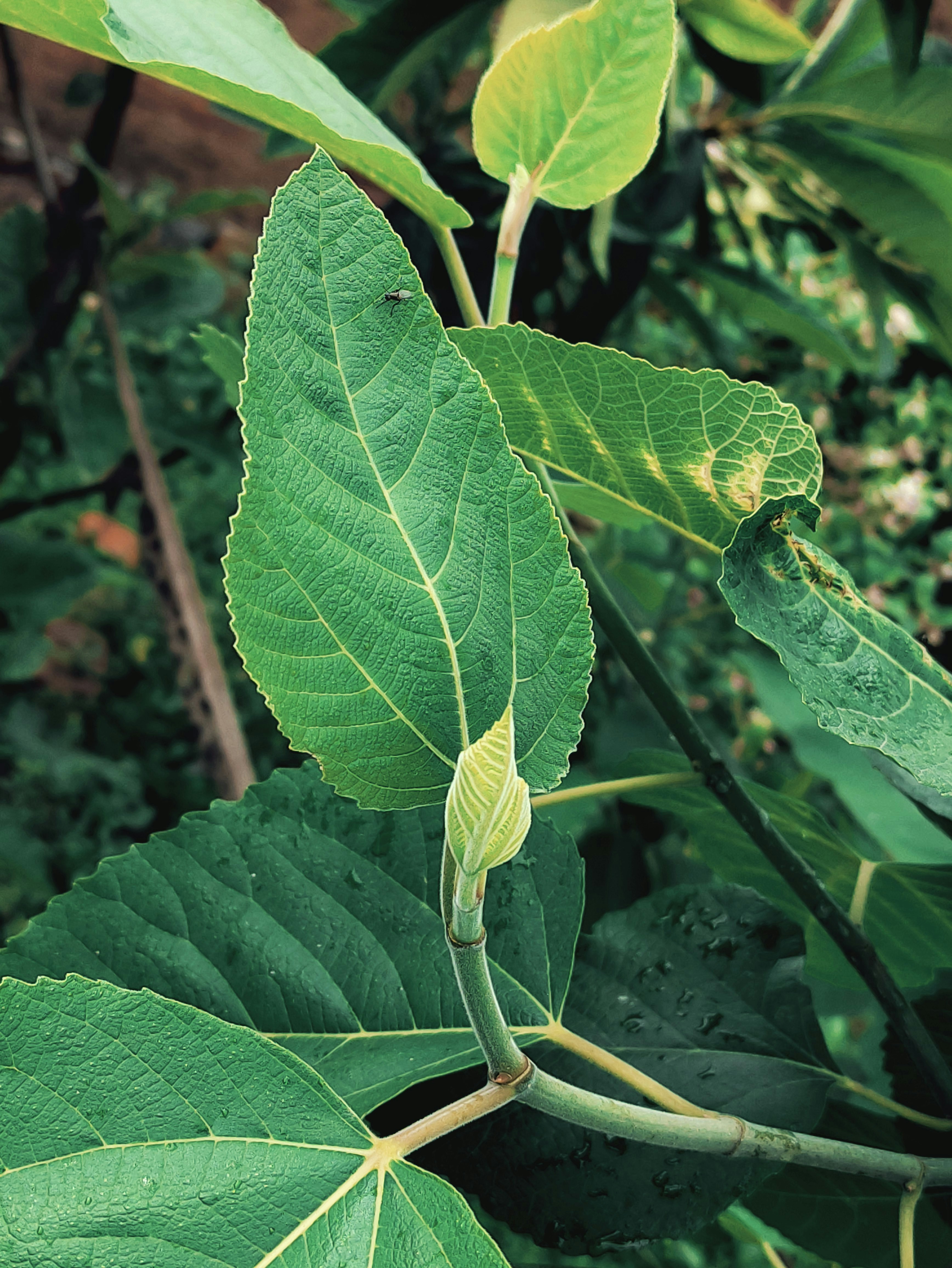 Photo by mkforfuturelife