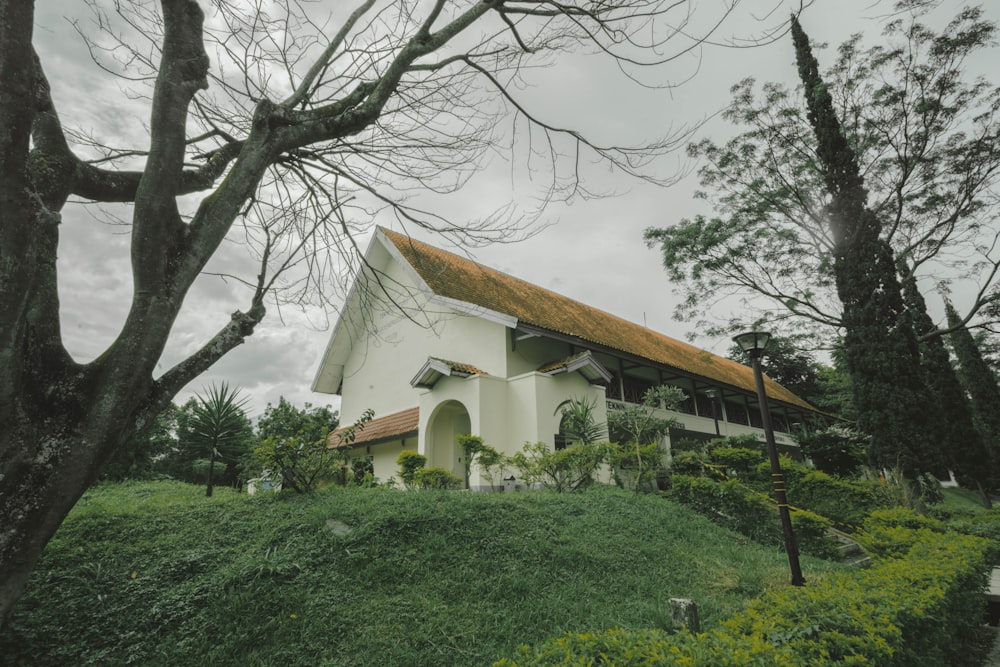 a white house sitting on top of a lush green hillside