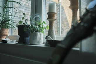 A bright window sill decorated with small potted plants and natural decor elements in warm light