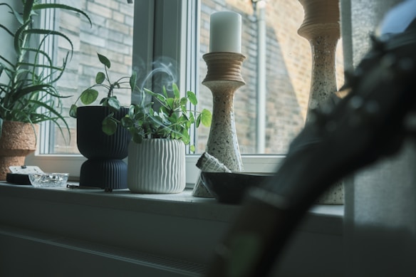 A windowsill adorned with various potted plants, including a tall succulent and leafy greens, is seen alongside decorative candle holders. The ambient lighting creates a serene and peaceful atmosphere, with soft shadows cast on the wall behind.