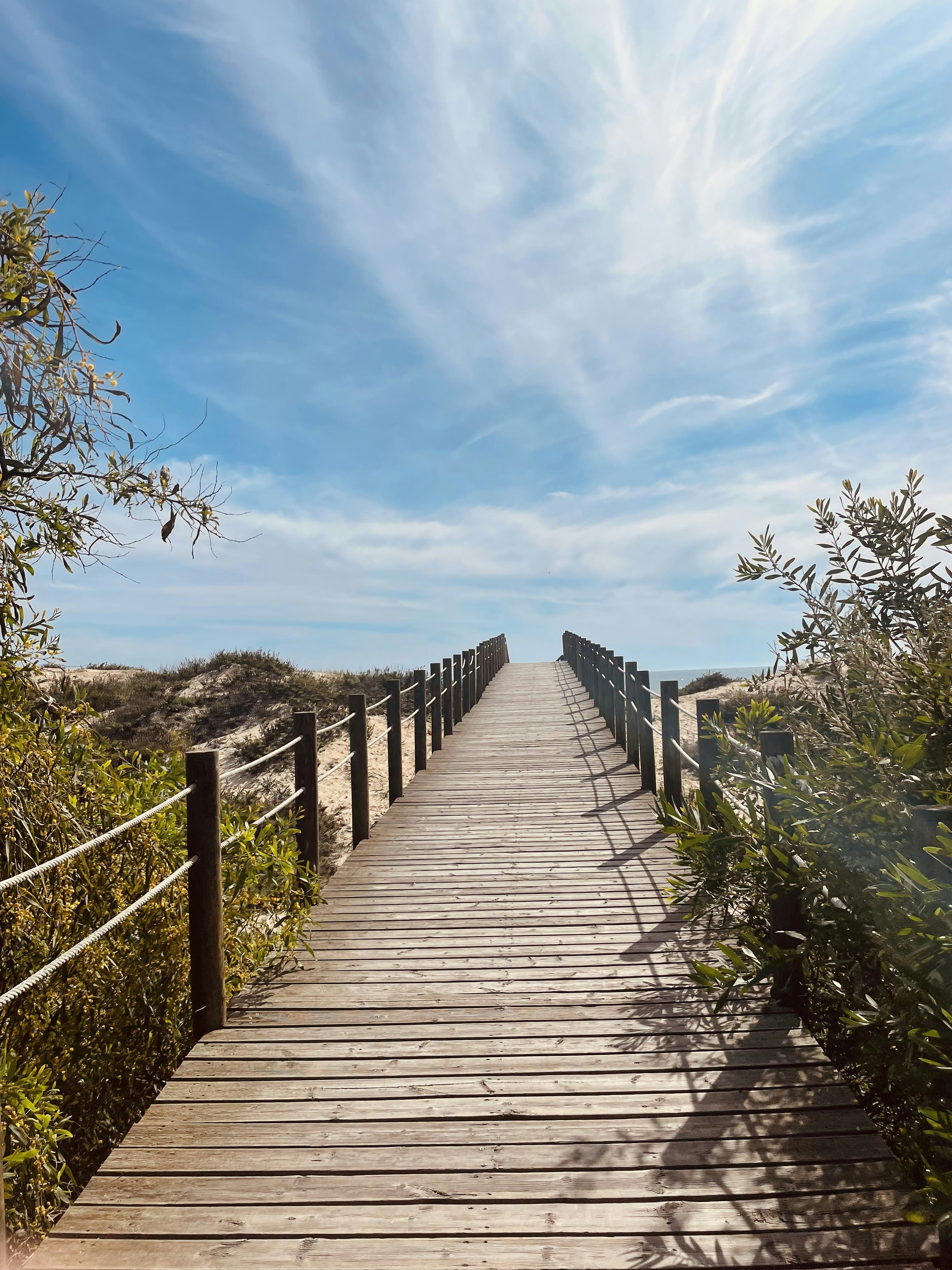 Photo by galifianakis