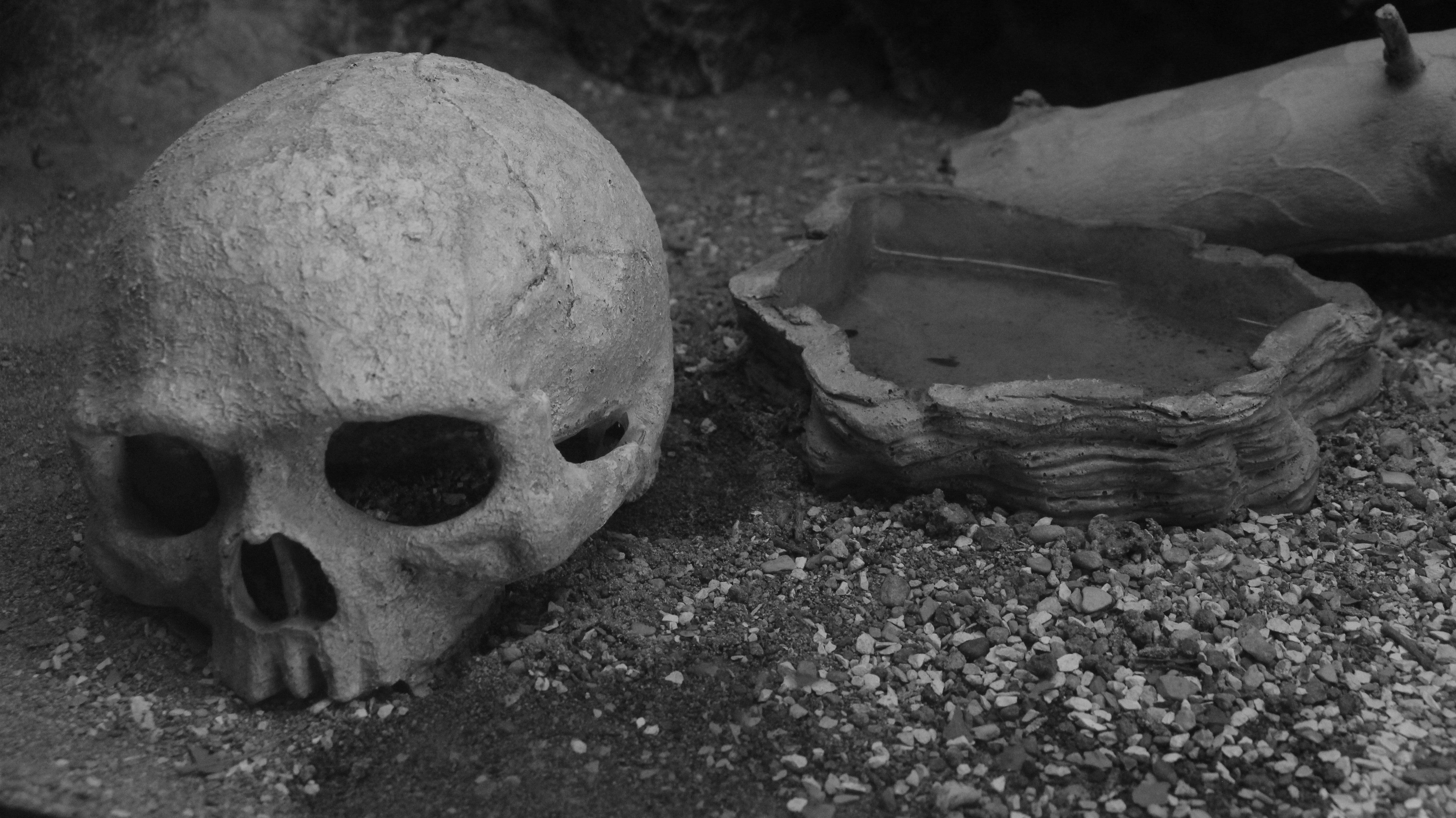 a skull and a bowl on the ground