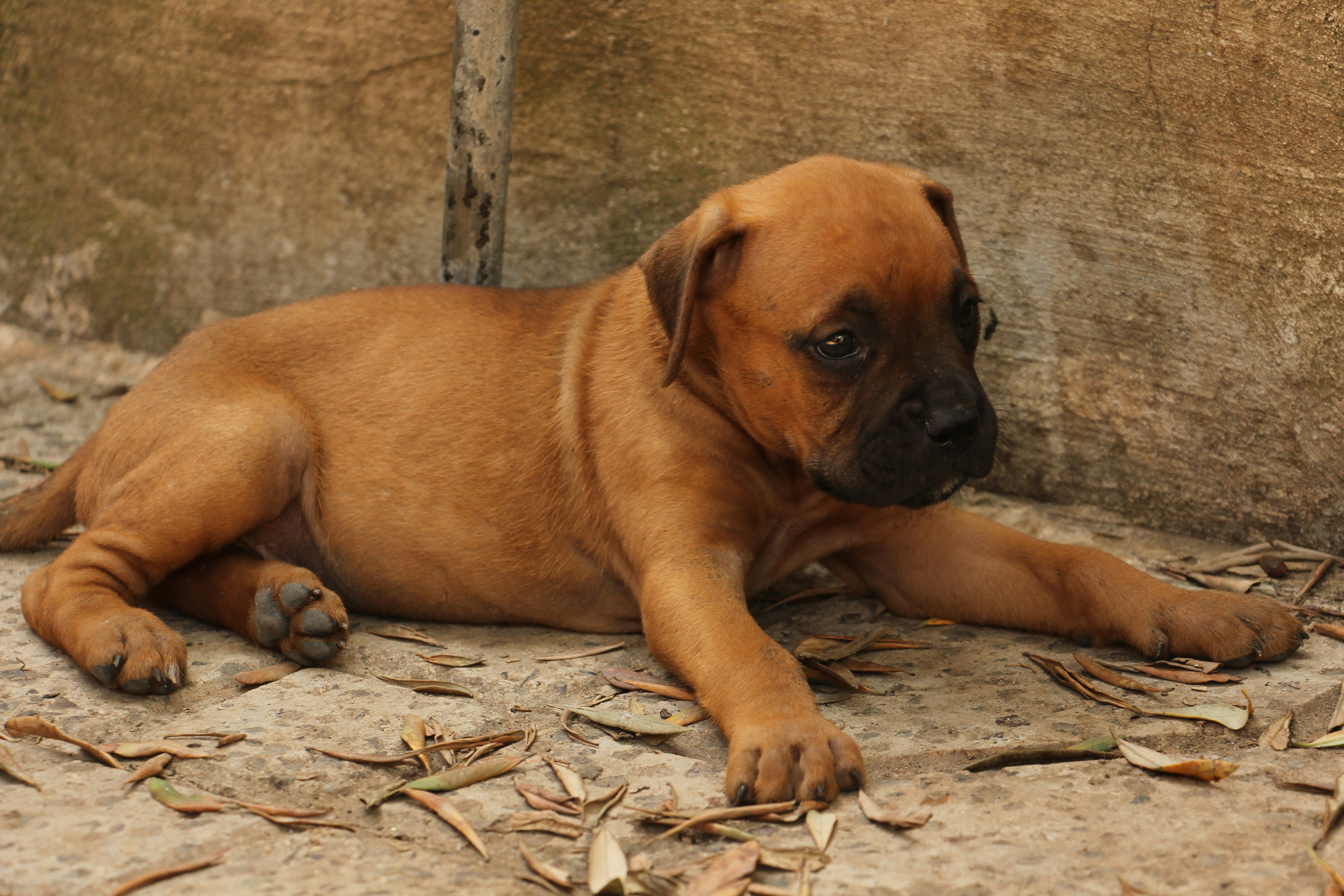 Boxing Day FTB: WJC time