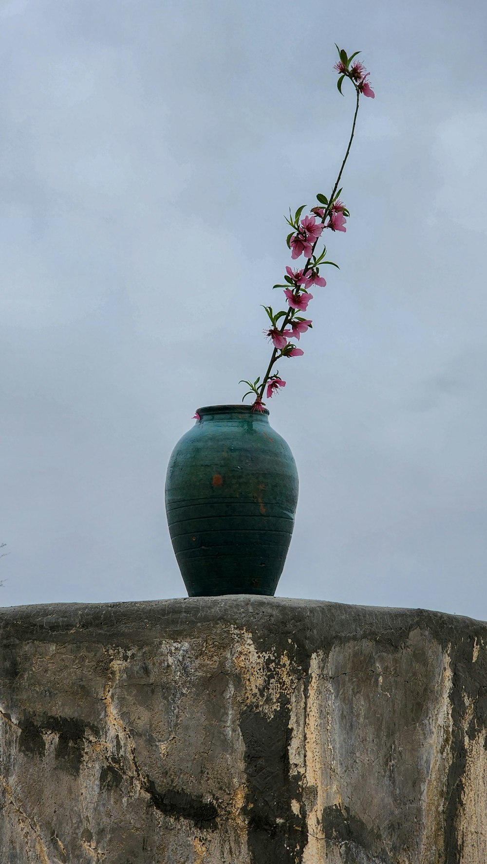 a green vase with pink flowers sticking out of it