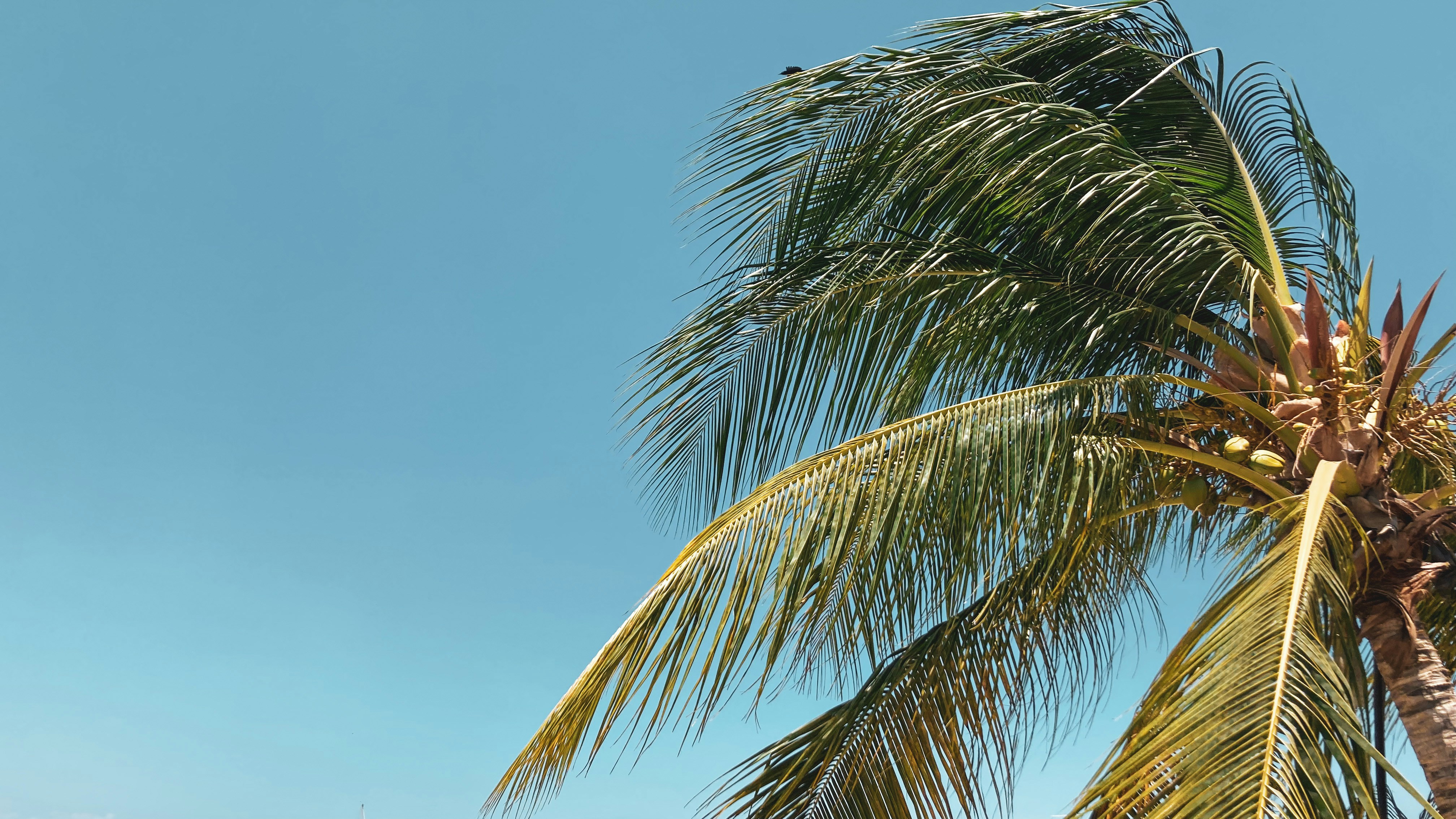 Photo by eusemarenco