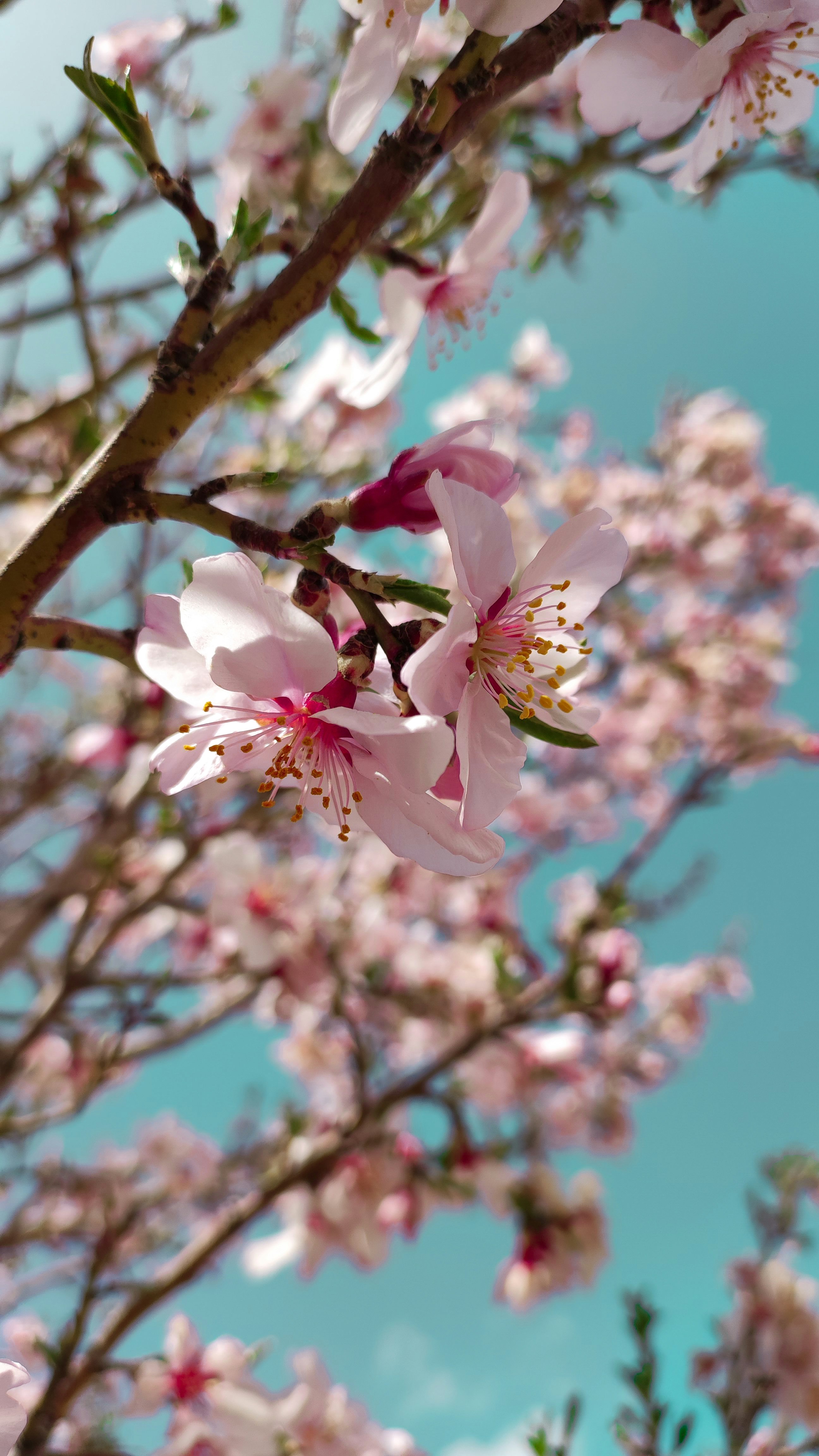 Photo by rosasepanta