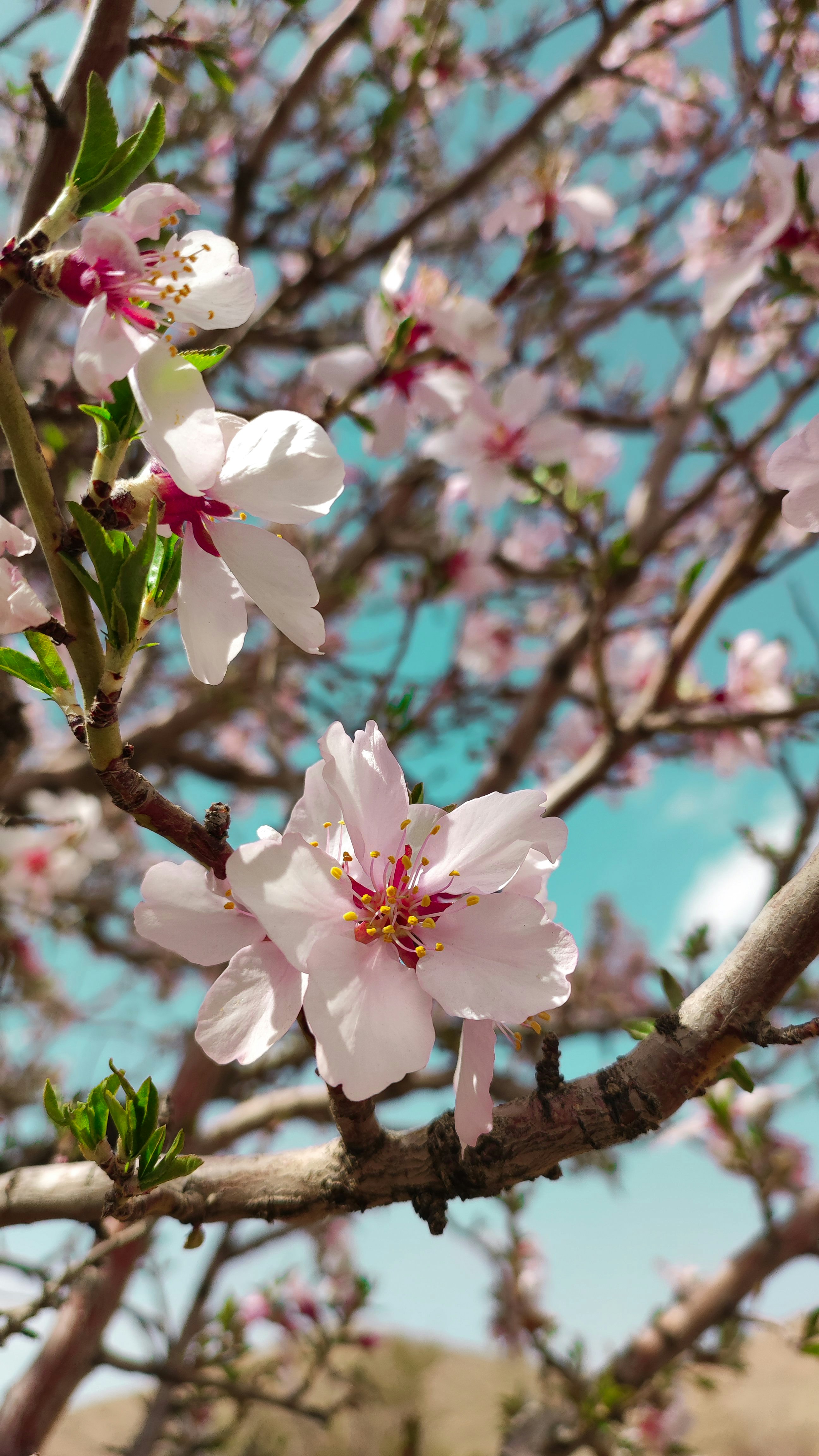 Photo by rosasepanta