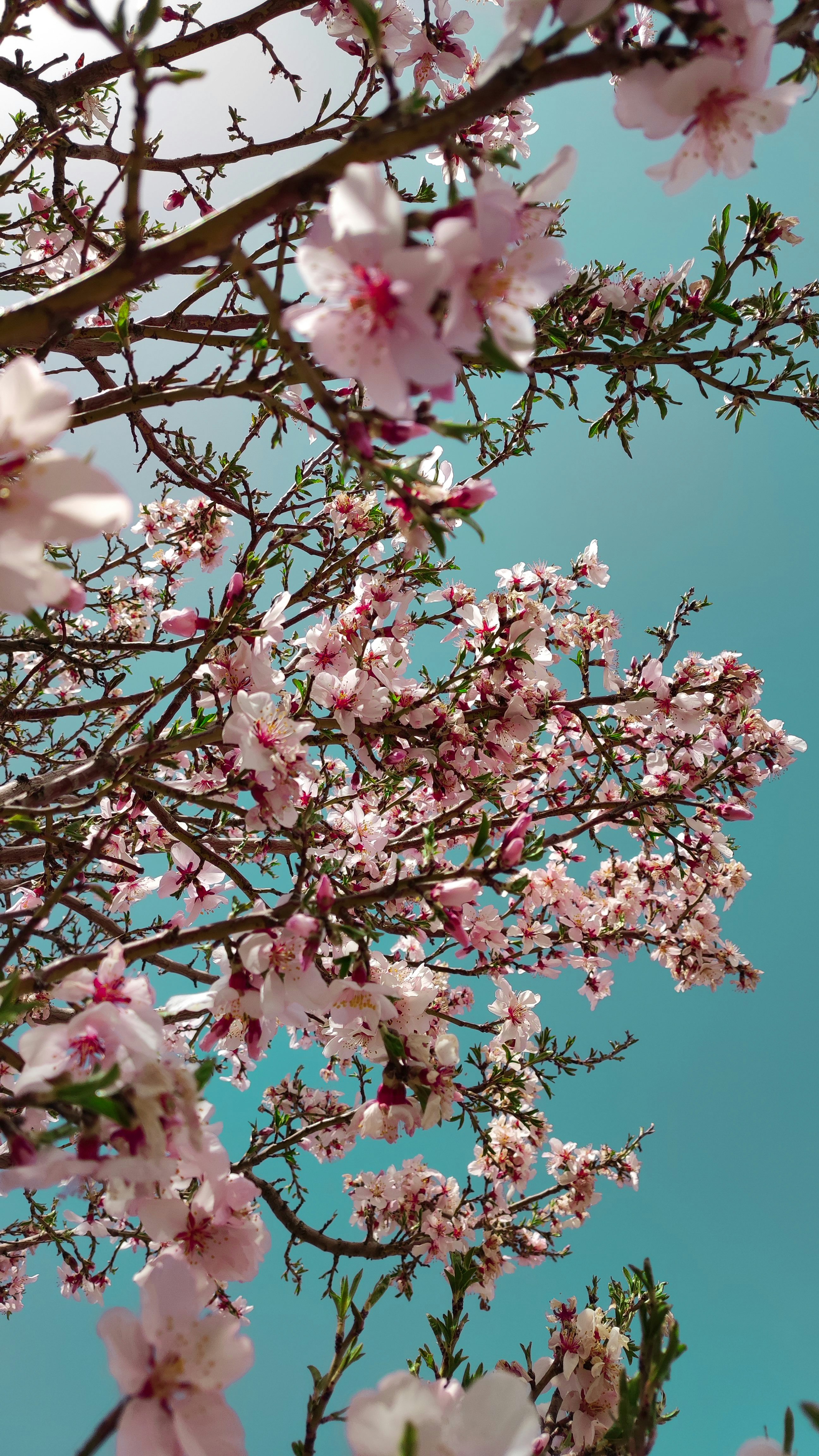 Photo by rosasepanta