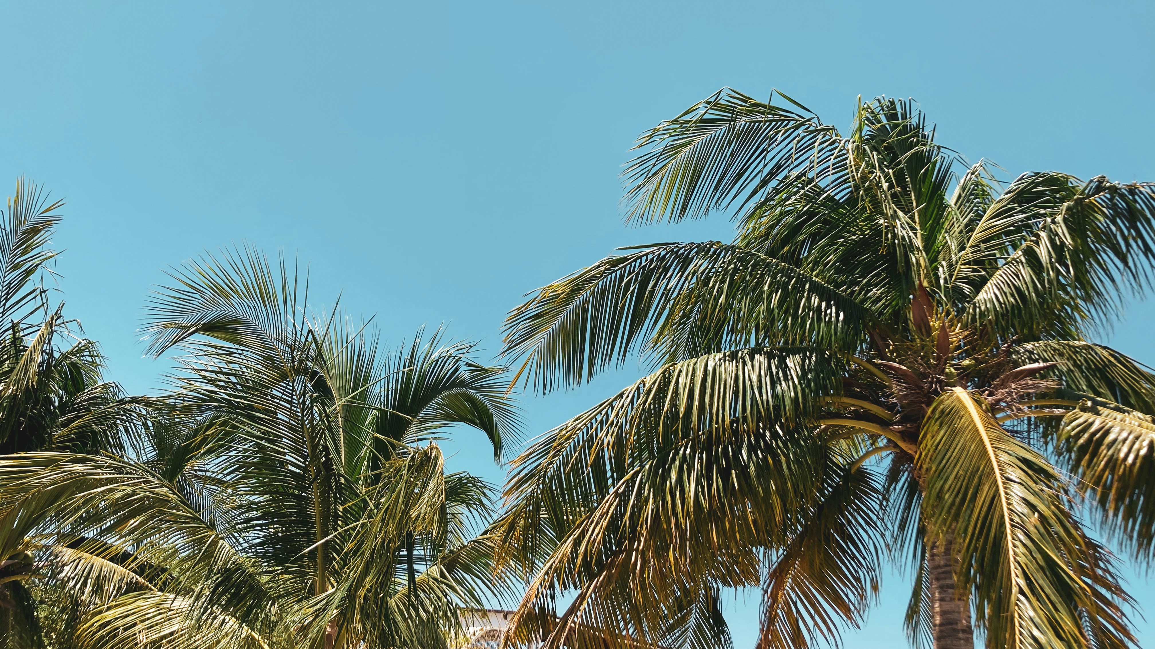 Photo by eusemarenco