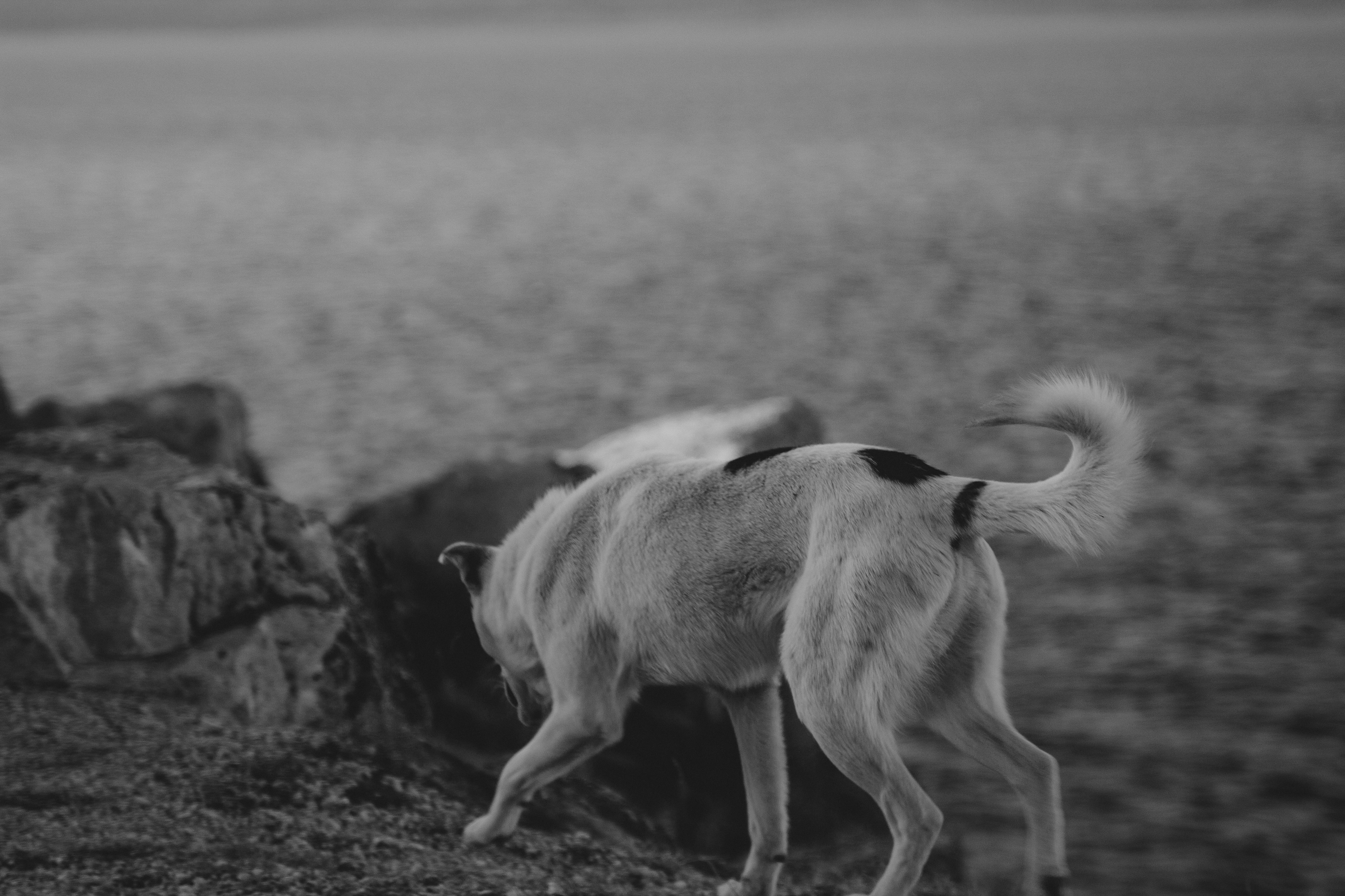 Photo by sam_badmaeva