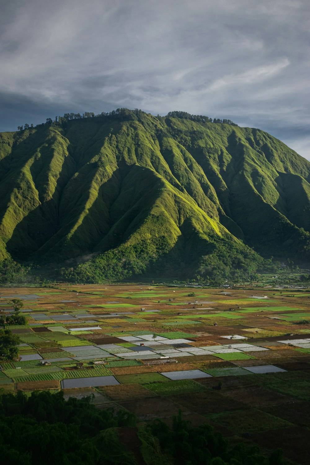 a large green mountain with lots of trees on top of it