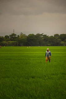 A farmer walking barefoot through a lush, green natural farm field.