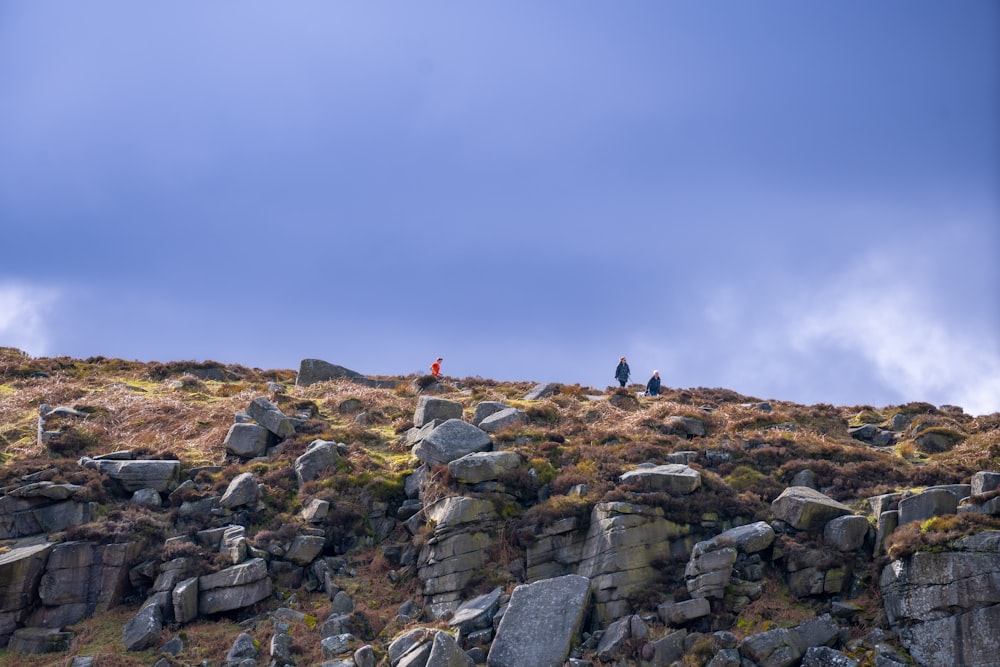 a couple of people that are standing on a hill