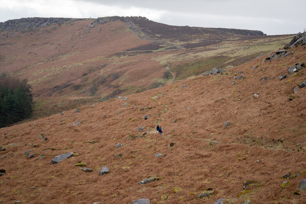 a person walking up a hill on a cloudy day