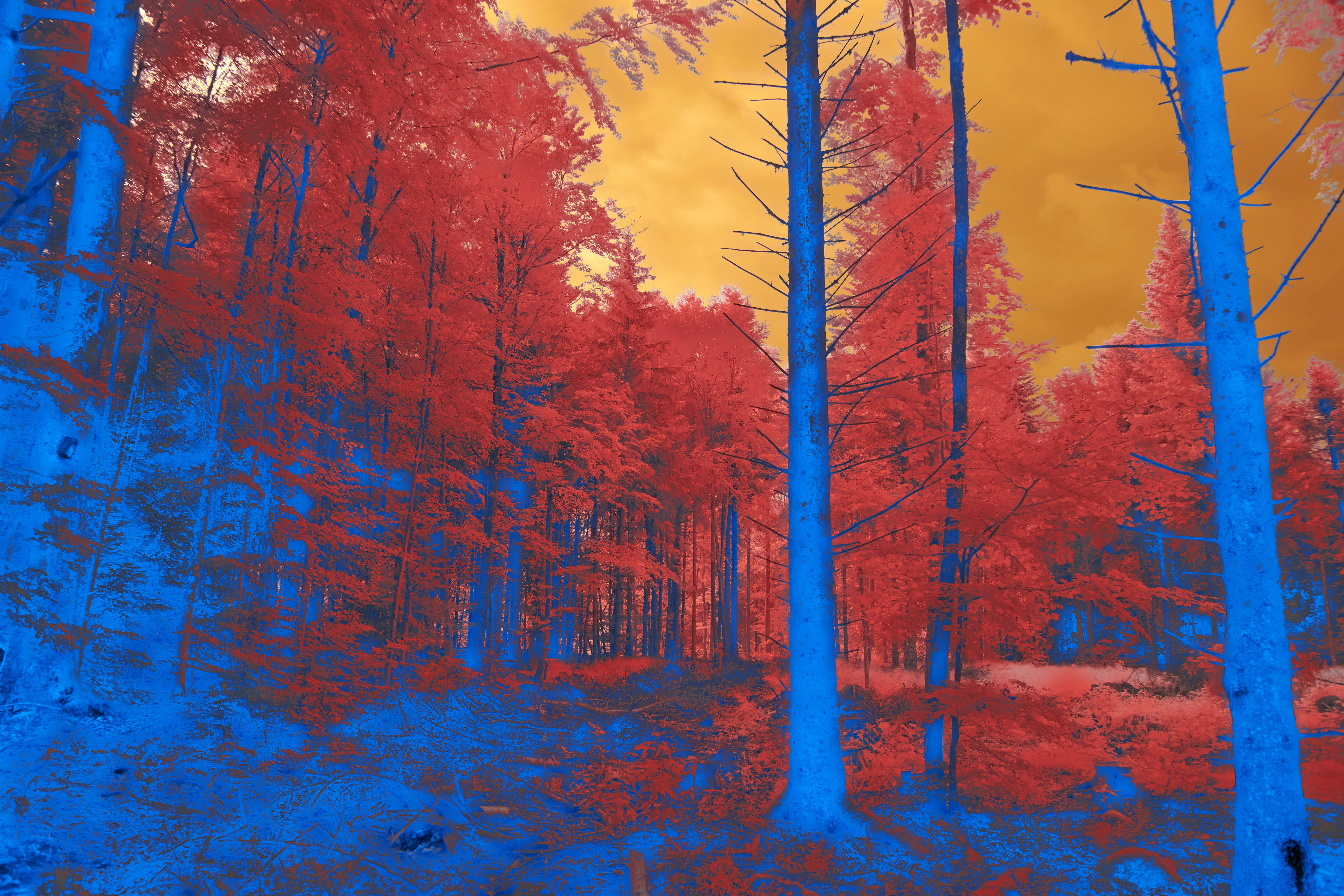 Photo by wolfgang_hasselmann